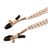 COQUETTE CHIC DESIRE FANTASY NIPPLE CLAMPS - Image 4