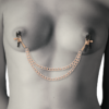 COQUETTE CHIC DESIRE FANTASY NIPPLE CLAMPS - Image 3