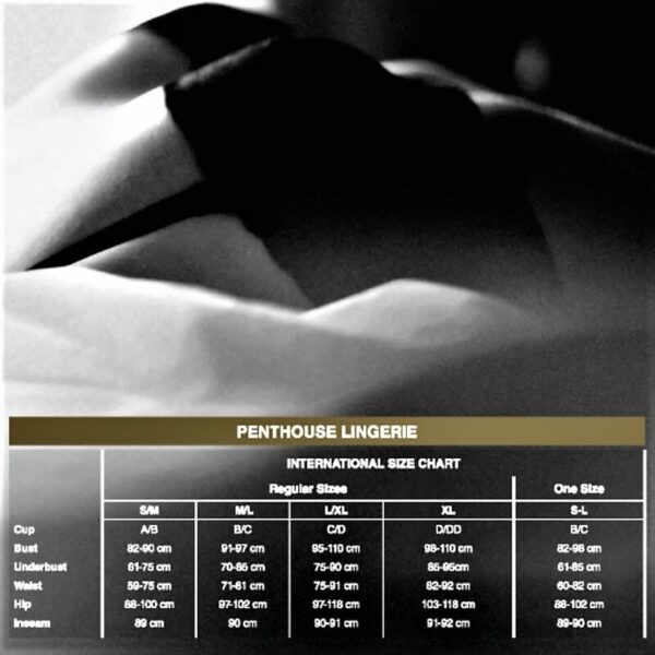 PENTHOUSE OPEN SECRET THONG BLACK - Image 3