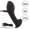 CALIFORNIA EXOTICS LIQUID SILICONE FLEX PROBE - Image 5