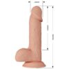 BEAUTIFUL ENCOUNTER CATOBLEPAS THRUSTING 20.6 CM - FLESH - Image 6