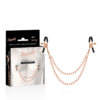COQUETTE CHIC DESIRE FANTASY NIPPLE CLAMPS - Image 2