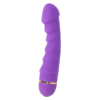 INTENSE SALLY 20 SPEEDS SILICONE PURPLE