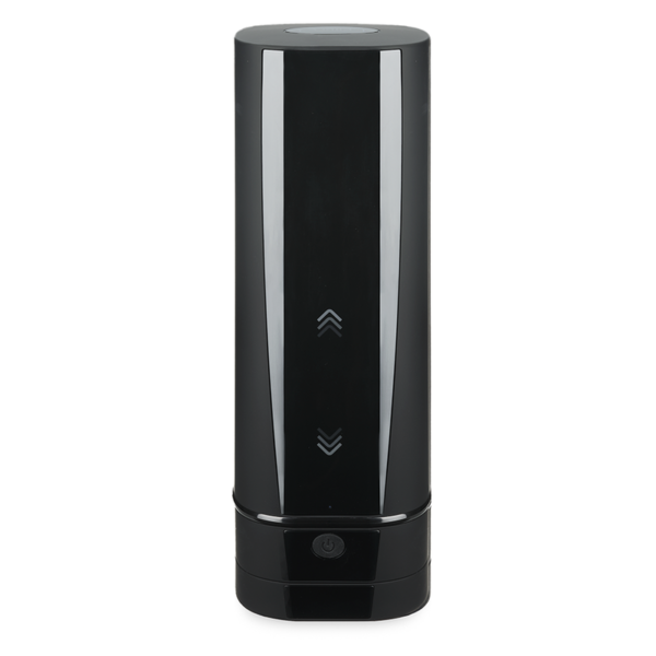 KIIROO ONYX + TELEDILDONIC MASTURBATOR WITH SKIN TEXTURE - Image 2