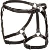 CALIFORNIA EXOTICS - EUPHORIA PLUS SIZE RIDING THIGH HARNESS - Image 4