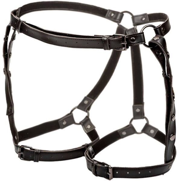CALIFORNIA EXOTICS - EUPHORIA PLUS SIZE RIDING THIGH HARNESS - Image 4