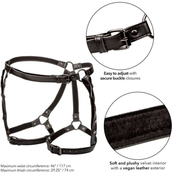 CALIFORNIA EXOTICS - EUPHORIA PLUS SIZE RIDING THIGH HARNESS - Image 5