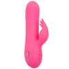 CALEXOTICS - SACRAMENTO SWEETIE VIBRATOR RABBIT PINK BY CALIFORNIA DREAMING - Image 4