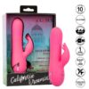 CALEXOTICS - SACRAMENTO SWEETIE VIBRATOR RABBIT PINK BY CALIFORNIA DREAMING - Image 2