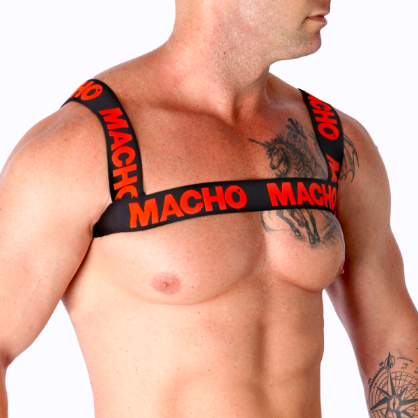 MACHO - DOUBLE RED HARNESS - Image 2