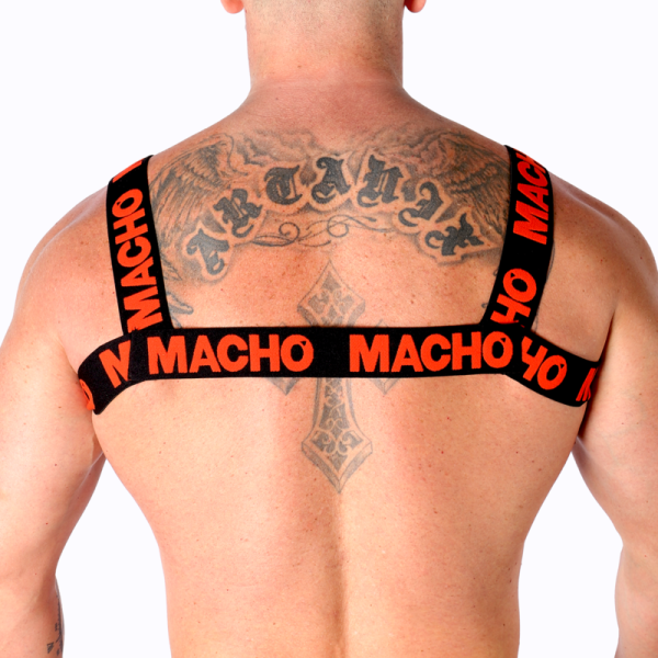 MACHO - DOUBLE RED HARNESS - Image 4