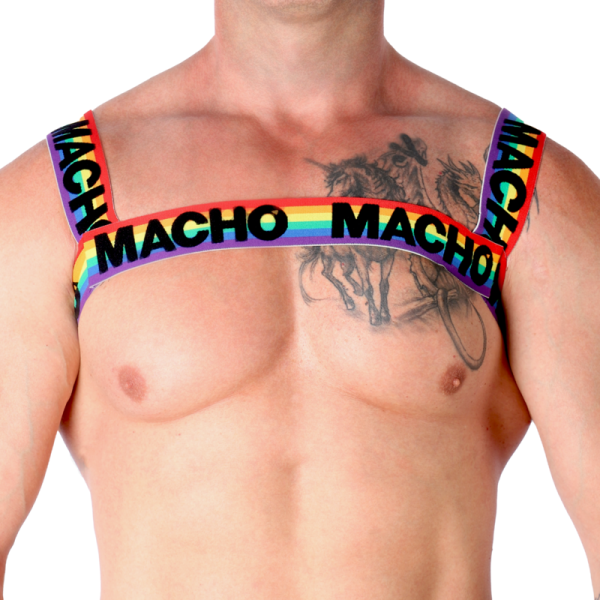 MACHO - DOUBLE HARNESS PRIDE LIMITED - Image 5