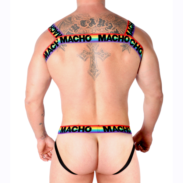 MACHO - DOUBLE HARNESS PRIDE LIMITED - Image 4