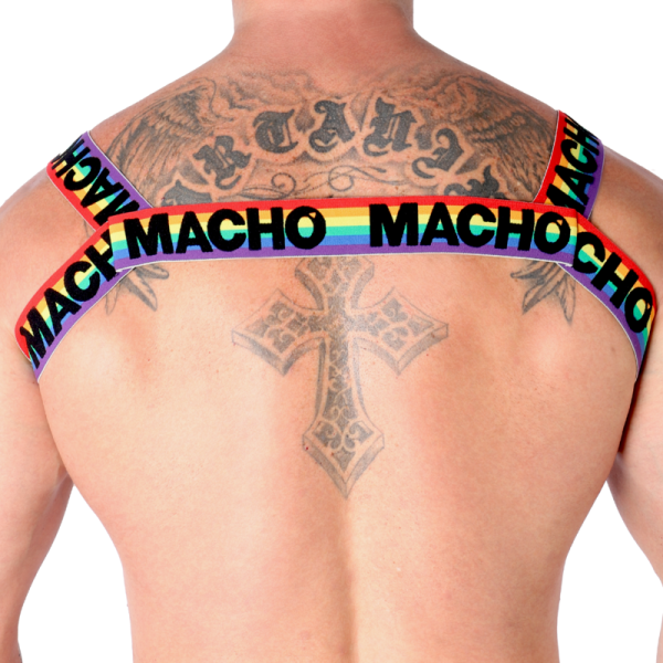 MACHO - DOUBLE HARNESS PRIDE LIMITED - Image 8