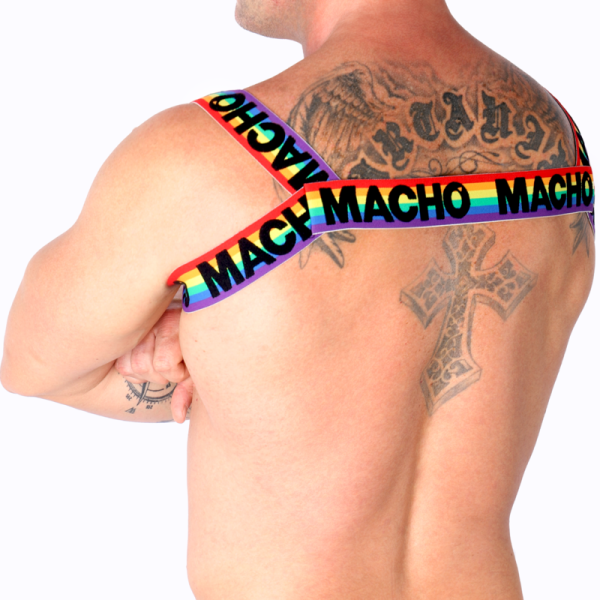 MACHO - DOUBLE HARNESS PRIDE LIMITED - Image 7