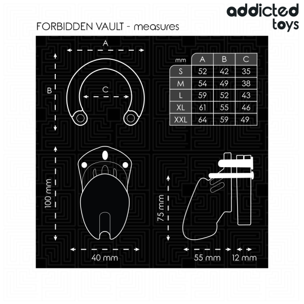 ADDICTED TOYS LOCKED - FORBIDDEN VAULT PENIS CAGE 10 CM - Image 5