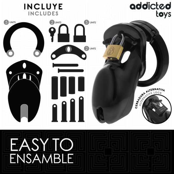 ADDICTED TOYS LOCKED - FORBIDDEN VAULT PENIS CAGE 10 CM - Image 4