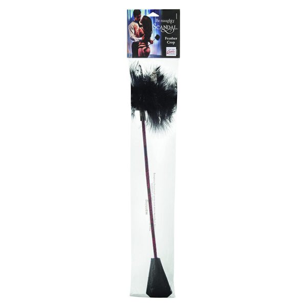CALEXOTICS - SCANDAL BLACK FEATHER WHIP - Image 2