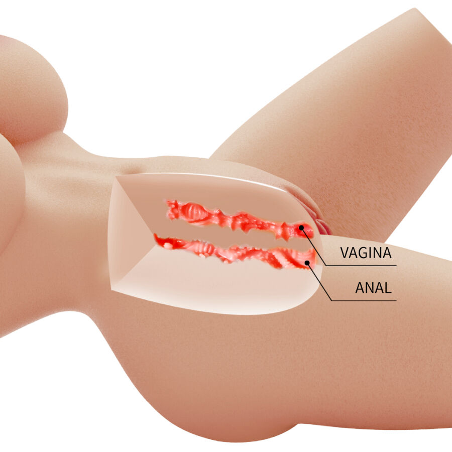 CRAZY BULL - LILY FEMALE MASTURBATOR REALISTIC TORSO VAGINA AND ANAL 4 KG - Image 5