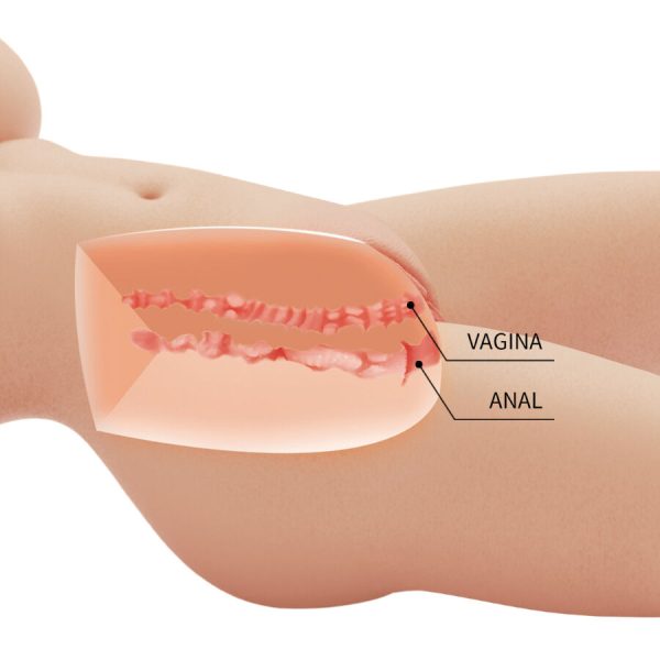 CRAZY BULL - TIFFANY REALISTIC FEMALE TORSO VAGINA AND ANAL 5.5 KG - Image 7