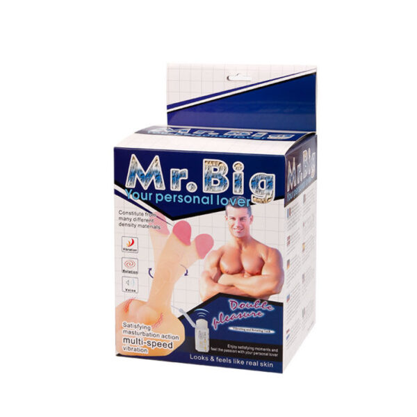 BAILE MR BIG PERSONAL LOVER - Image 8