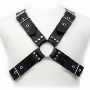LEATHER BODY - BUCKLES HARNESS