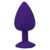 INTENSE SHELKI L PLUG ANAL PURPLE - Image 5