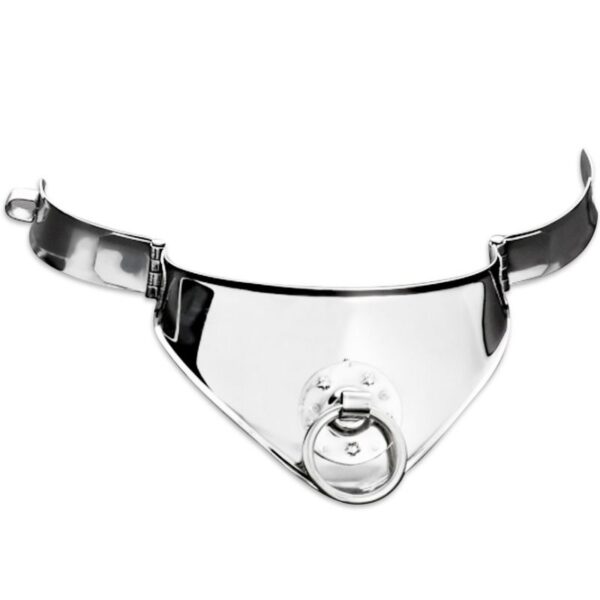 METAL HARD NECLACE WITH RING AND LOCK 12.5 CM - Image 2
