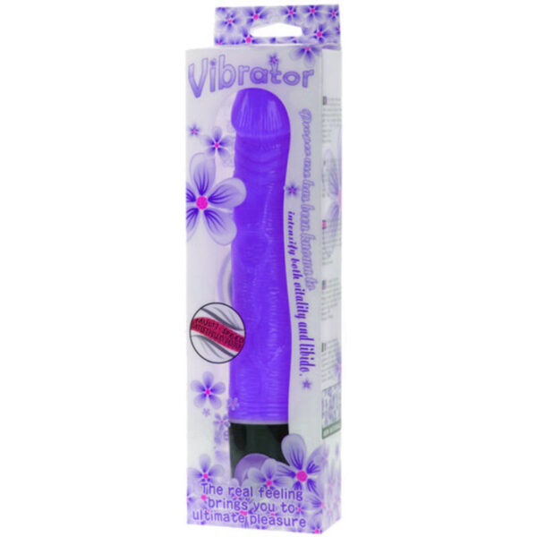 BAILE VIBRATOR MULTI-SPEED 21.5 CM PURPLE - Image 2